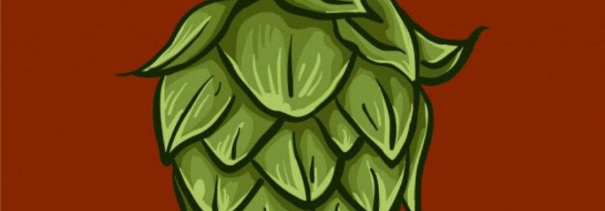 Como fazer Dry Hopping?