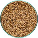 Malte Caramelo Amber80 - Bindewald