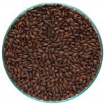Malte Chocolate 1000 Bindewald