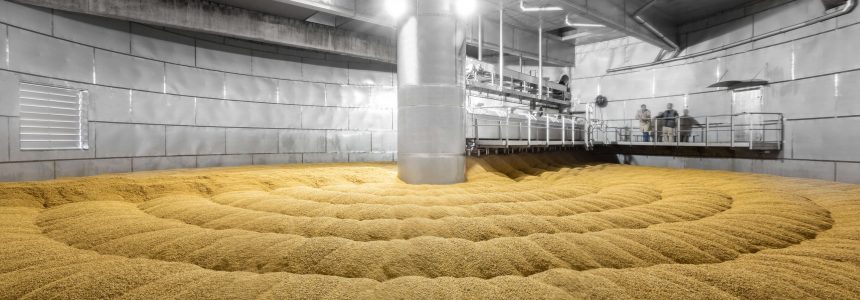 Como é produzido o Malte? Do grão de cevada ao malte!