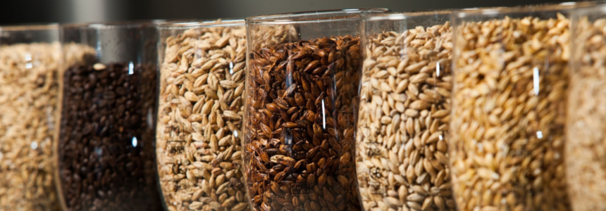 Maltes bases e especiais de qualidade